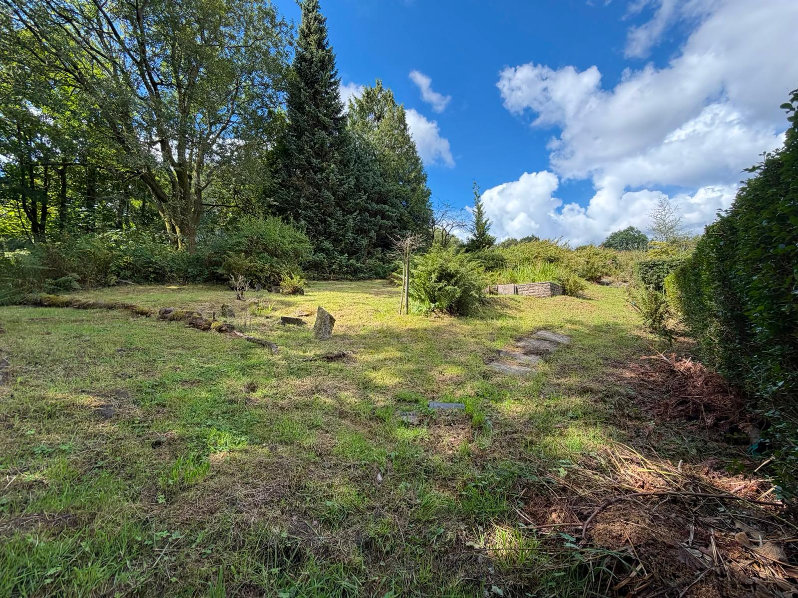 Lawn and mature trees at the top of the garden